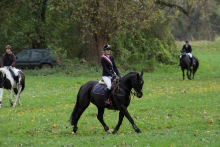 Fuchsjagd27.10.2013_206.jpg